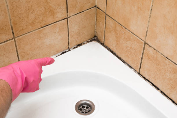 Best Mold Cleaning Services  in Leachville, AR